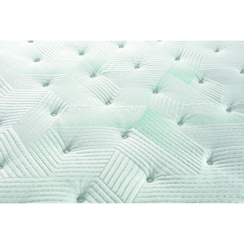 Beautyrest Compassion Plush Pillow Top Mattress (Twin) IMAGE 7