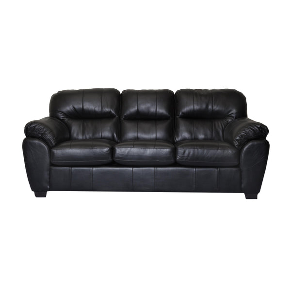 Minhas Furniture Stationary Leather Look Sofa AB1601LG-BL-S IMAGE 1